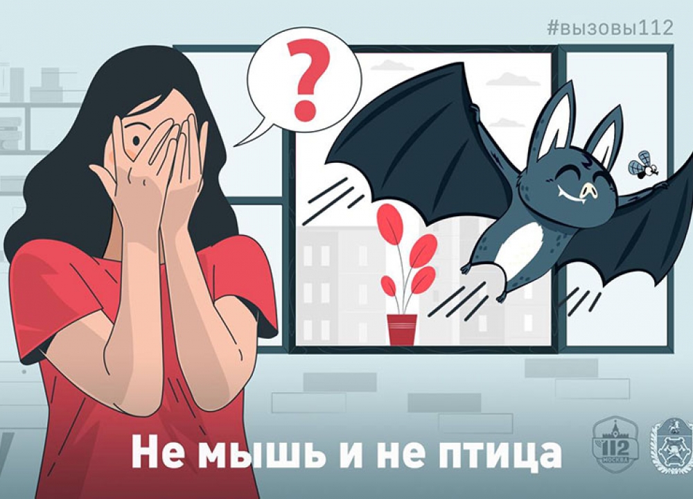 Не мышь и не птица