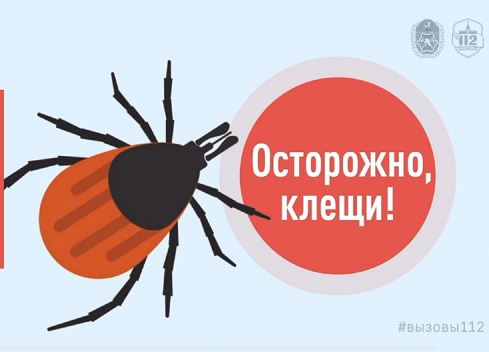 Сезон активности
