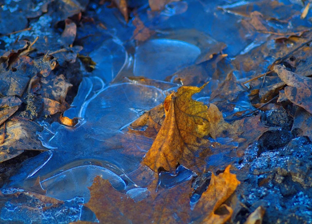 Помните о правилах безопасности вблизи водоемов