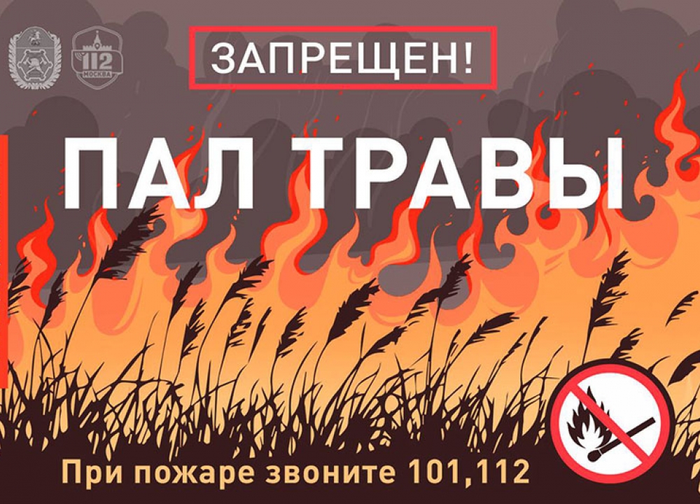 Ошибочное суждение с неприятными последствиями
