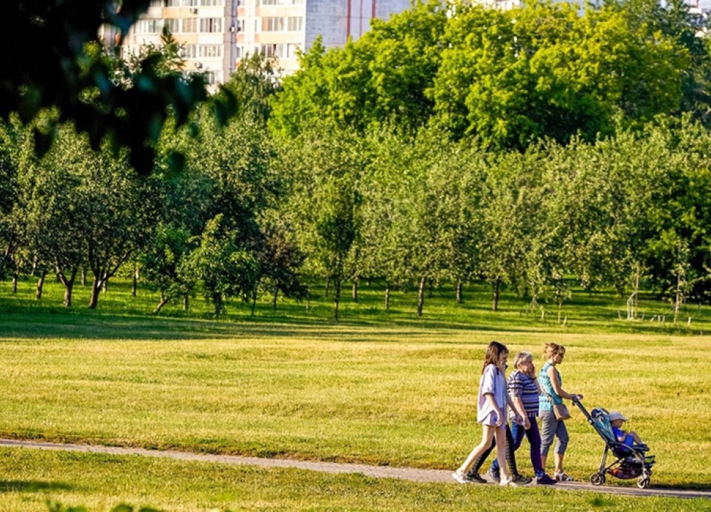 Контроль пожарной безопасности усилен на природных территориях и в лесопарковых...