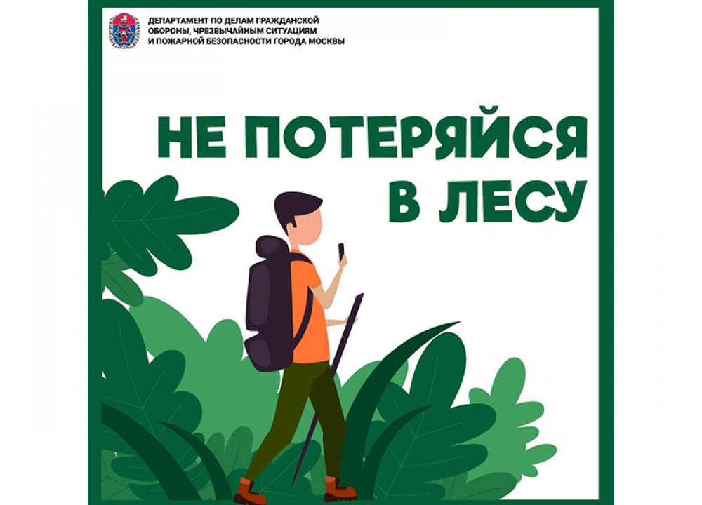 Не потеряйся: советы кинолога Пожарно-спасательного центра, как не заблудиться в...