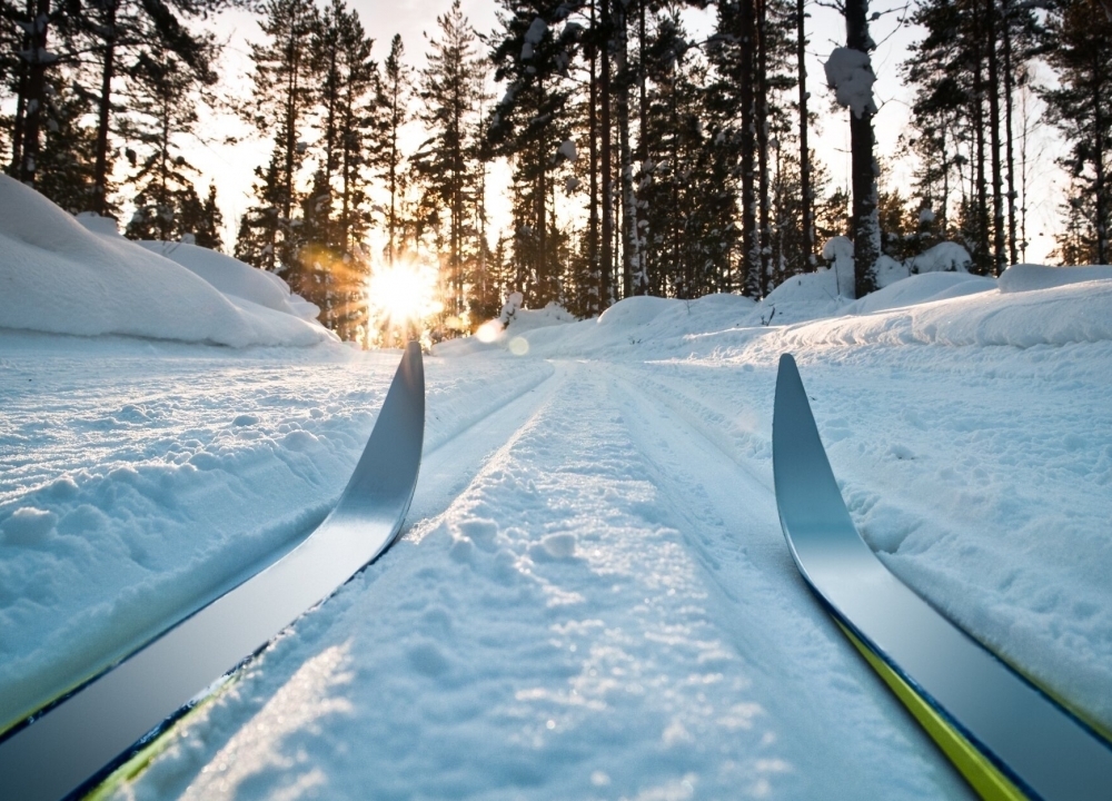 Мосприрода подготовила список лыжных трасс