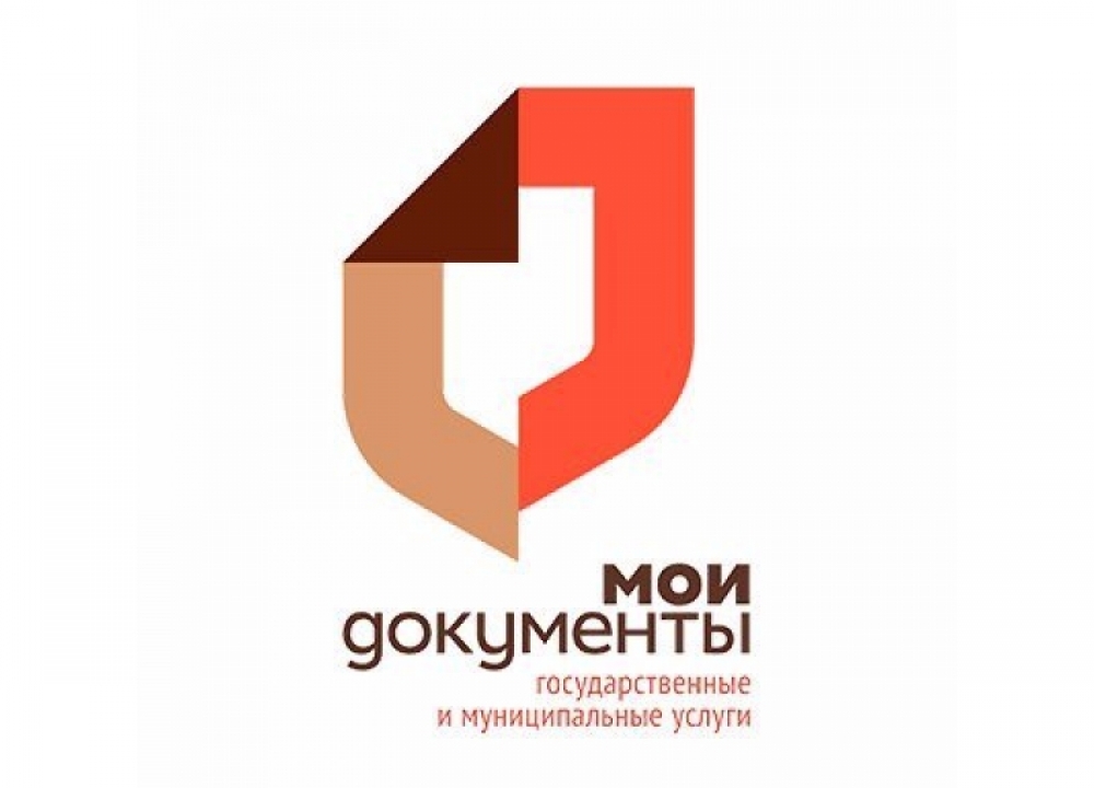 Видеоконсультации с сотрудниками «Мои Документы» 