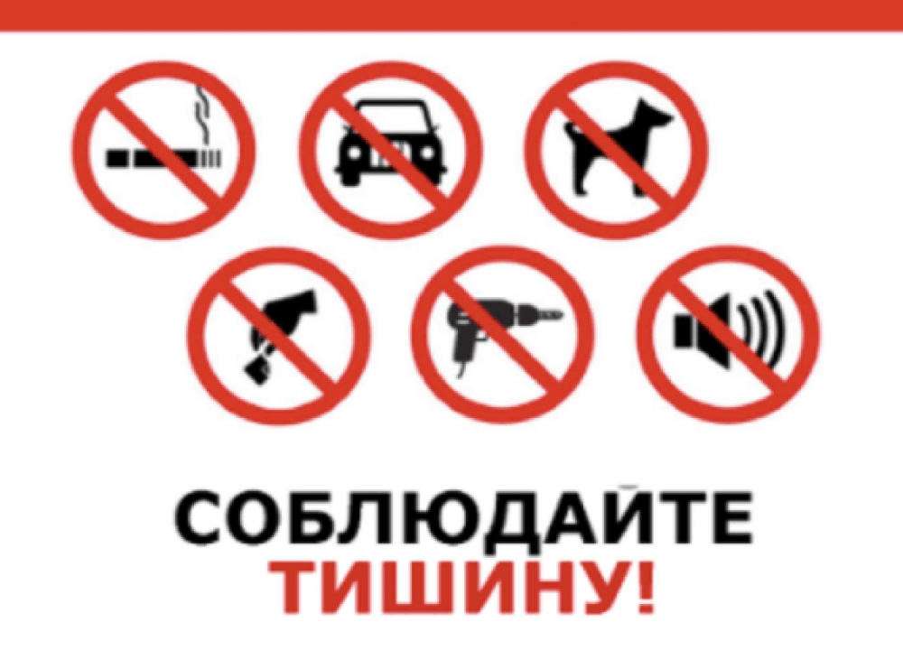 Шум и соседи