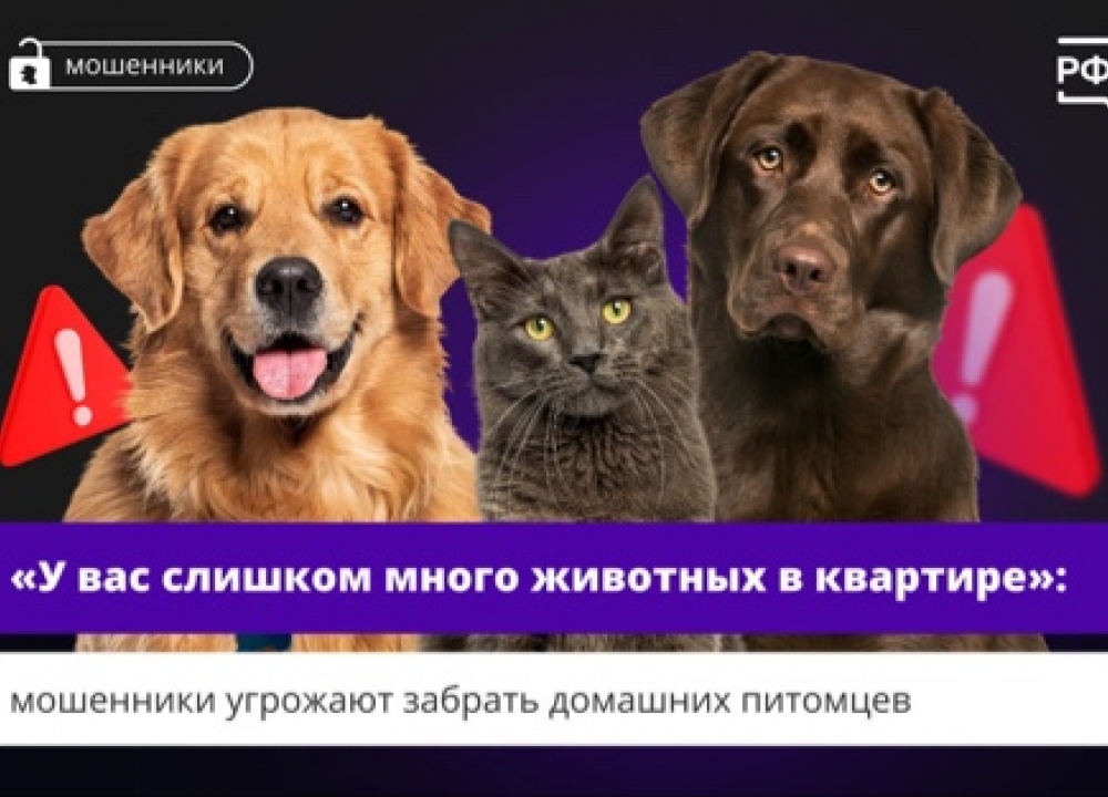 ВНИМАНИЕ мошенники