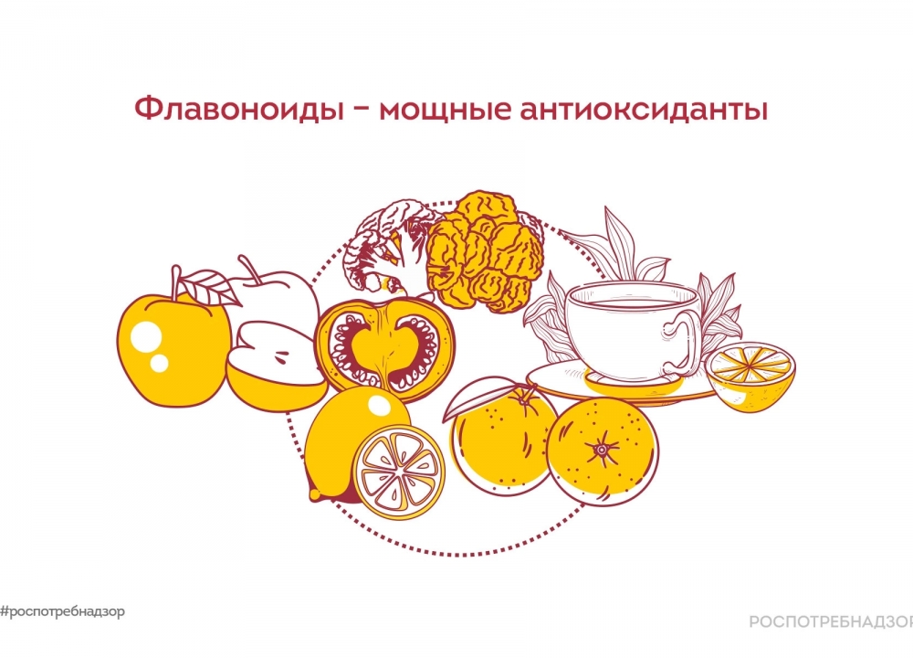 О пользе флавоноидов