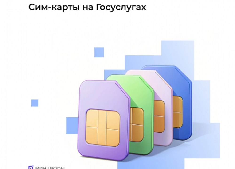 Новый сервис на Госуслугах
