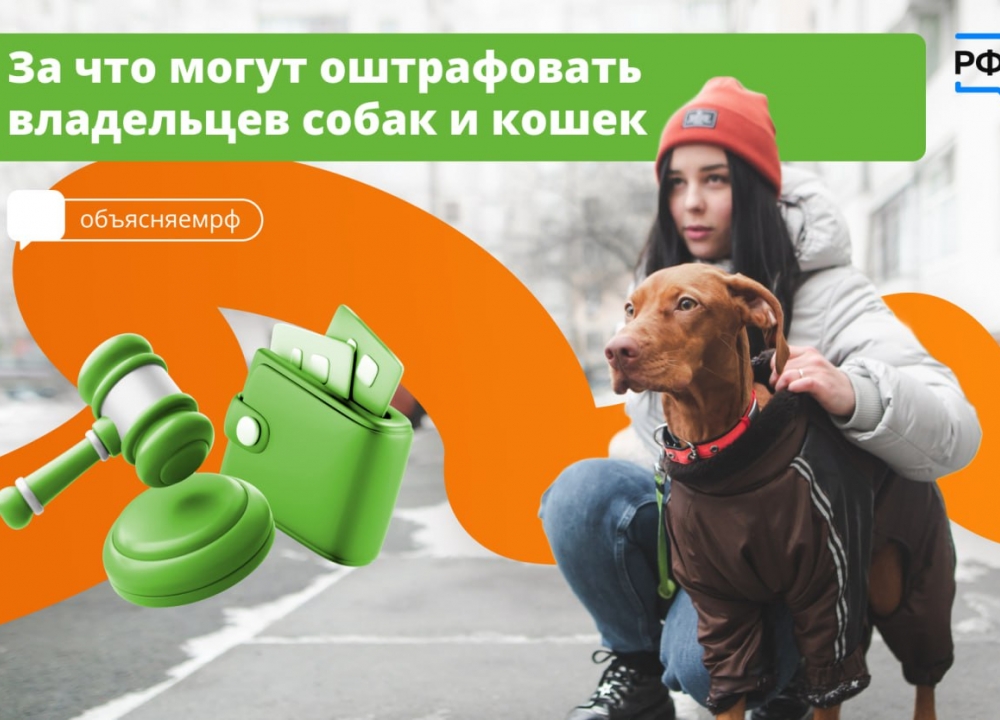 Правила выгула собак потенциально опасных пород 