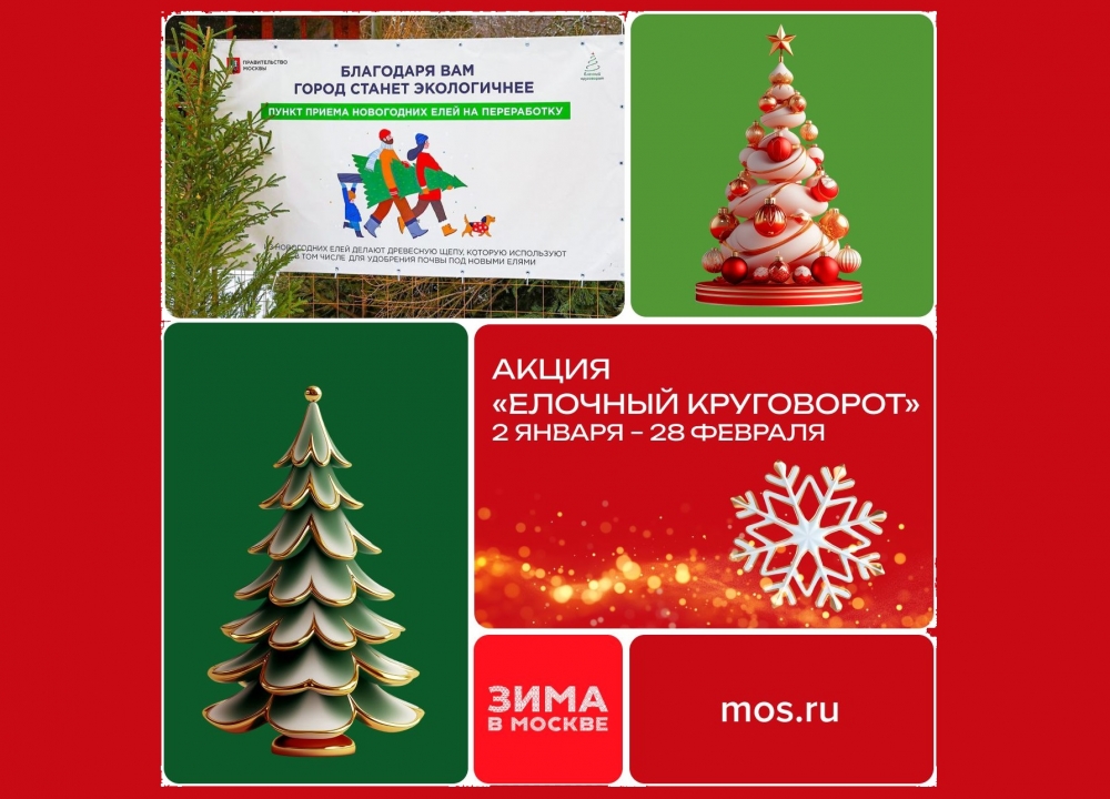 Акция «Елочный круговорот»
