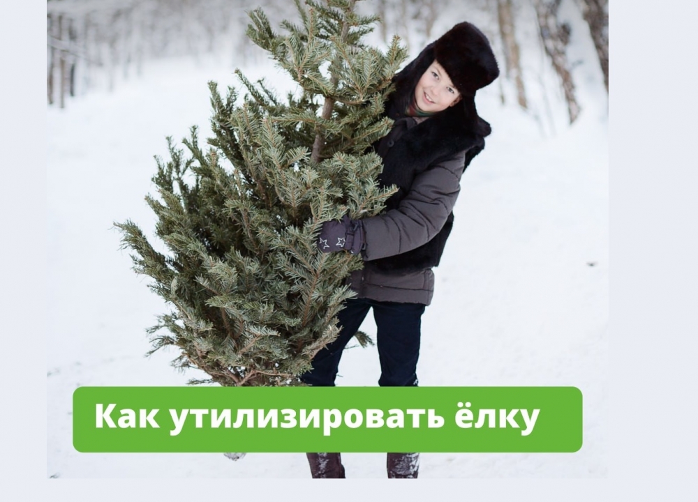 Елочный круговорот