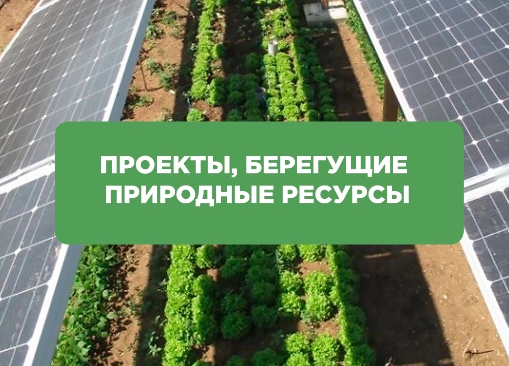 Экологические премии Правительства Москвы