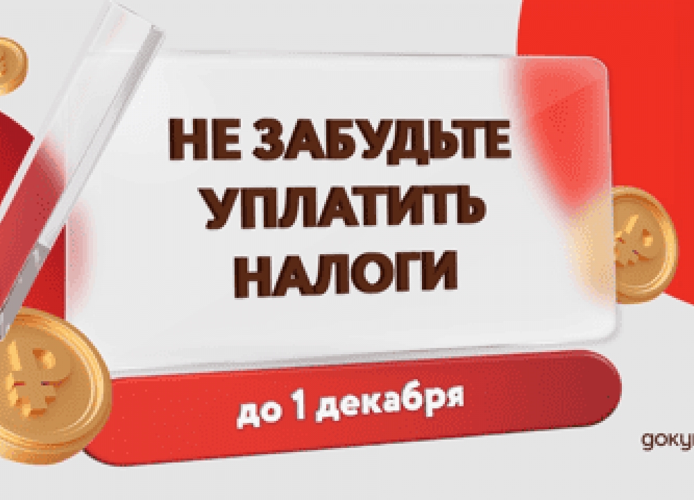 Осень — пора налогов! 