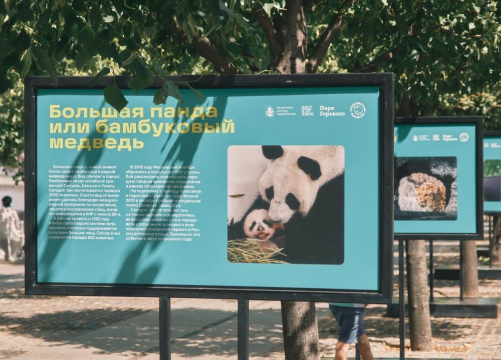 Выставка в «Музеоне»  