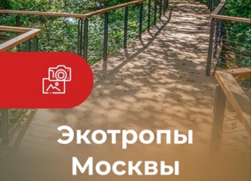 Выбираем экотропы в Москве