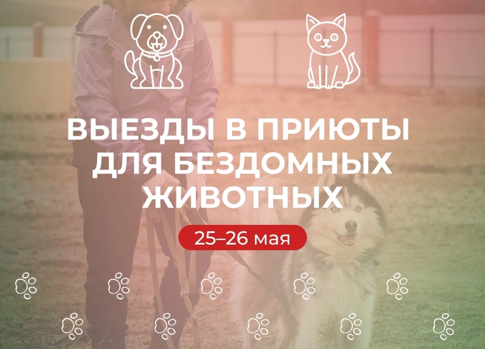 Выезды в приюты для бездомных животных