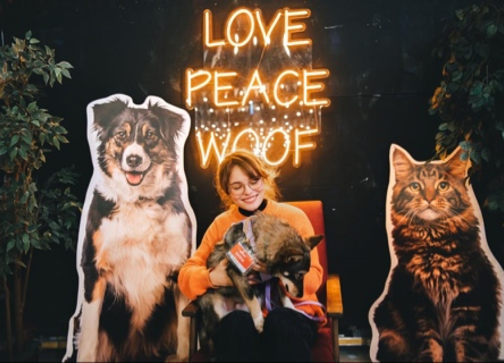Благотворительный фестиваль WOOF