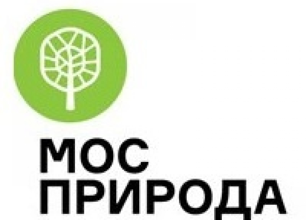 Лучшие экомаршруты для осенней прогулки от специалистов Мосприрода