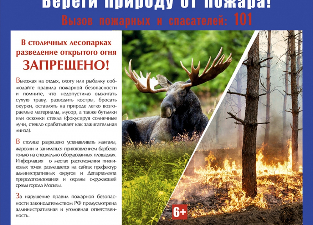 Берегите природу от пожара!