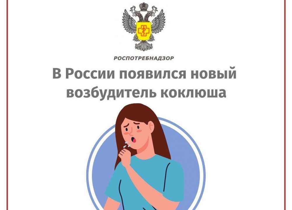 Новый возбудитель коклюша