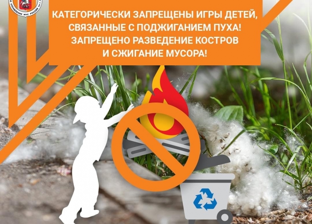 Пожароопасный «летний снег»