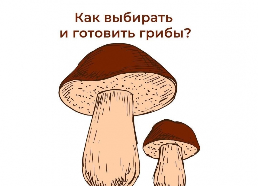 Как выбирать грибы?