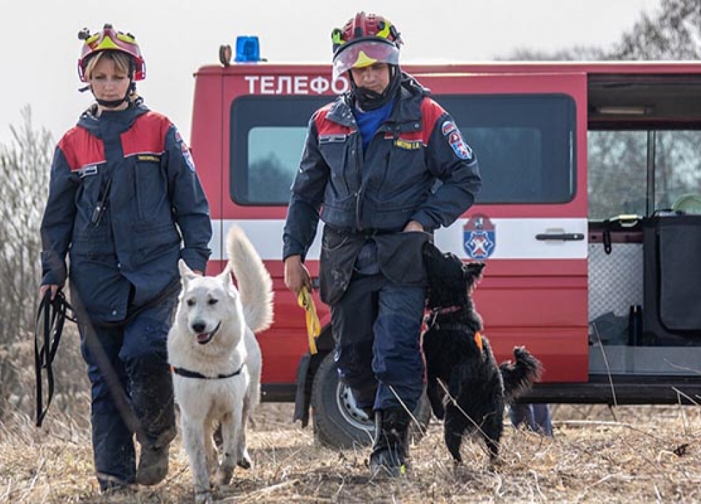 Уши, лапы и нюх: столичные служебные собаки помогли спасти 25 человек в этом году