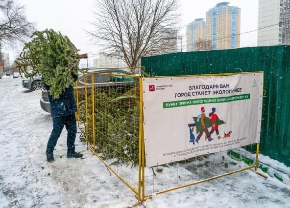 Акция «Елочный круговорот»