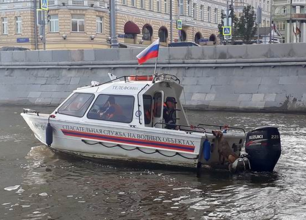 Московские спасатели выезжали более трехсот раз на помощь животным