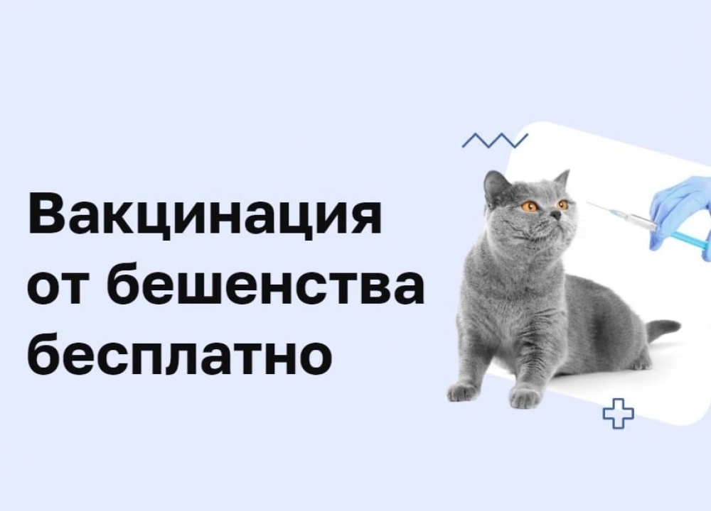 Вакцинация домашних питомцев